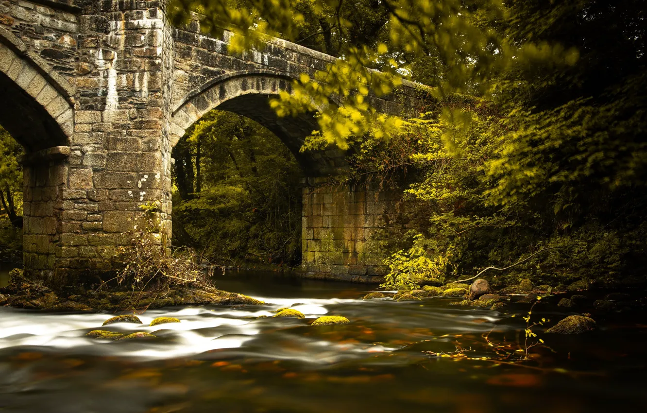Photo wallpaper bridge, nature, river