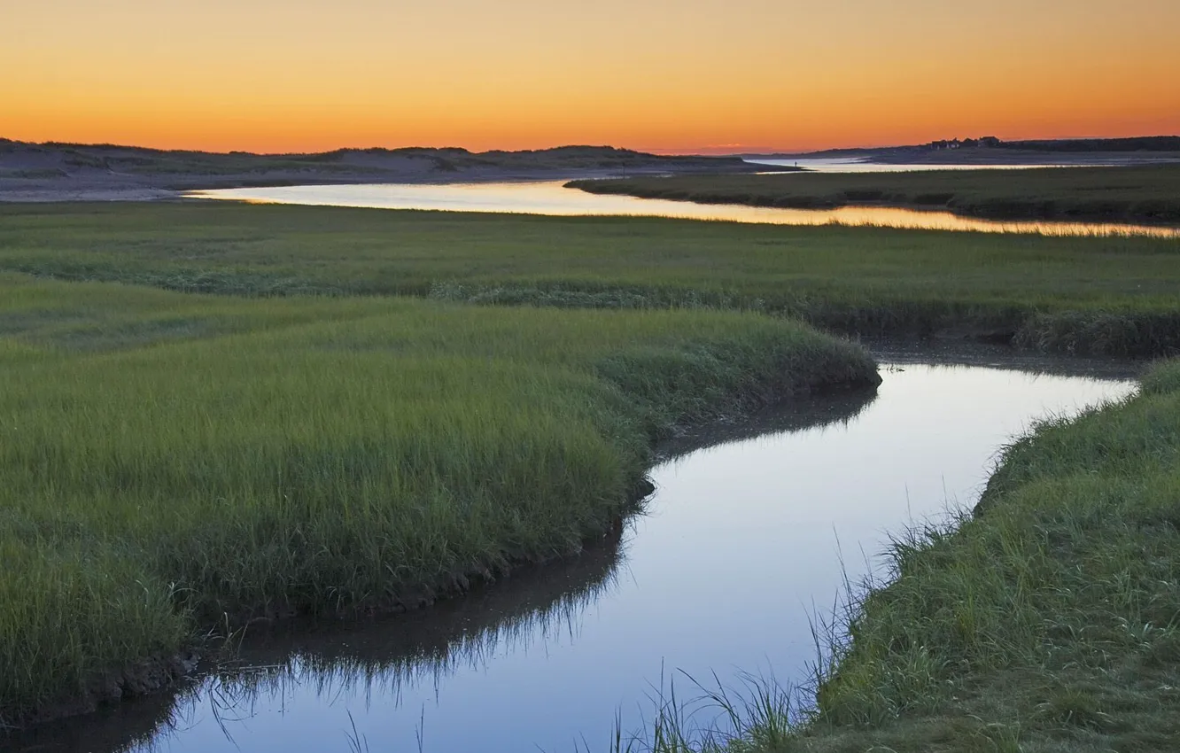 Photo wallpaper grass, stream, morning