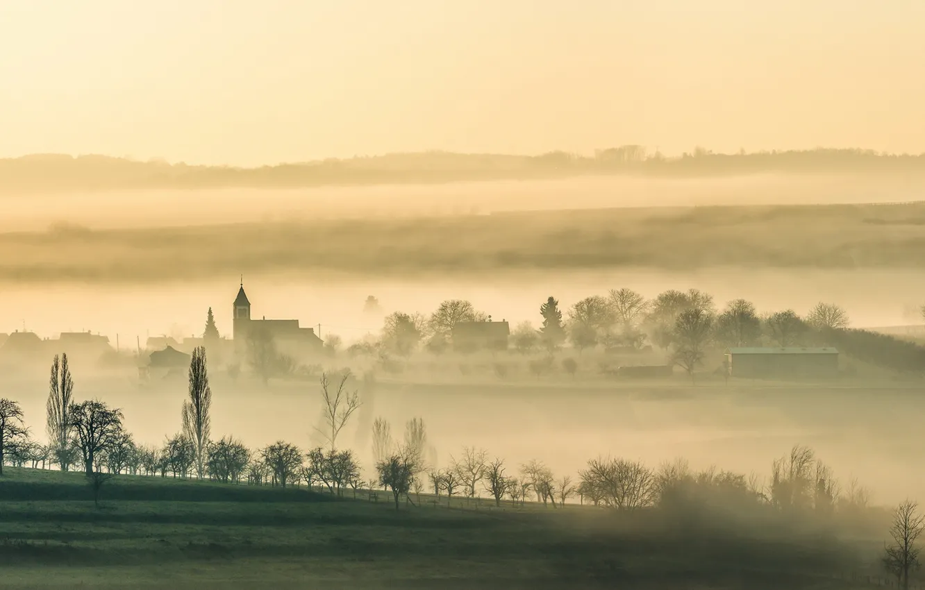 Photo wallpaper fog, morning, Traenheim