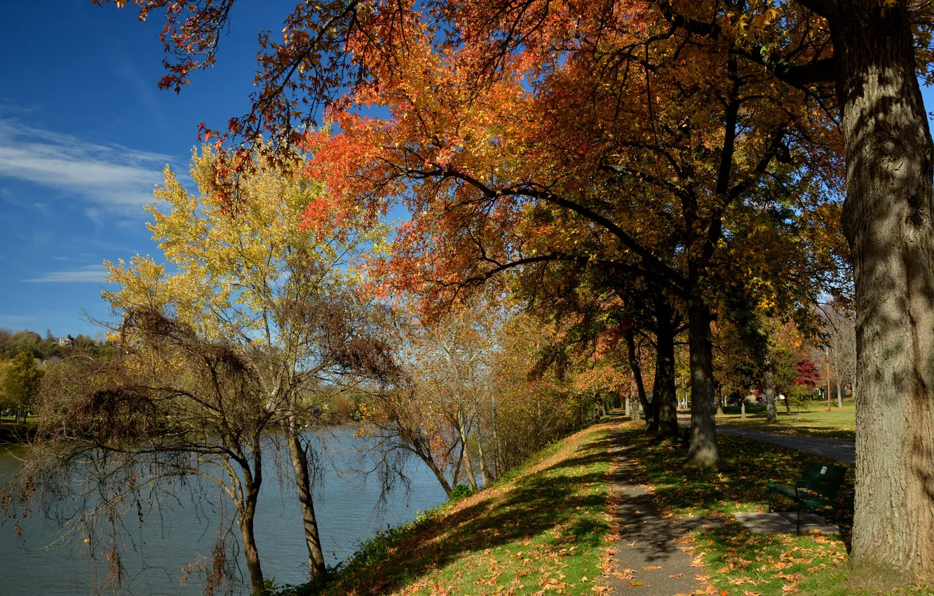 Photo wallpaper autumn, trees, lake, pond, Park, track