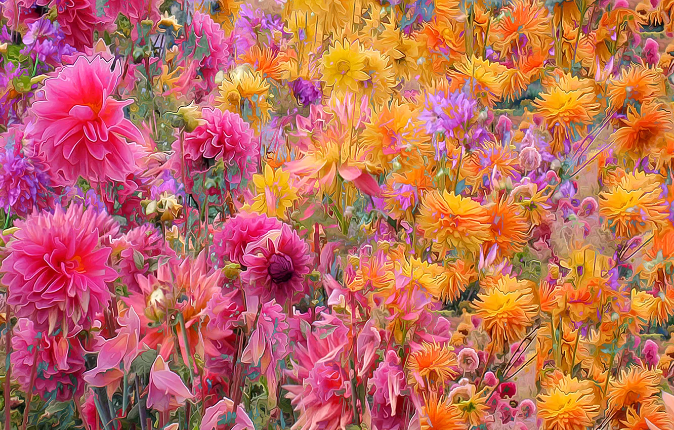 Photo wallpaper flowers, petals, garden, meadow