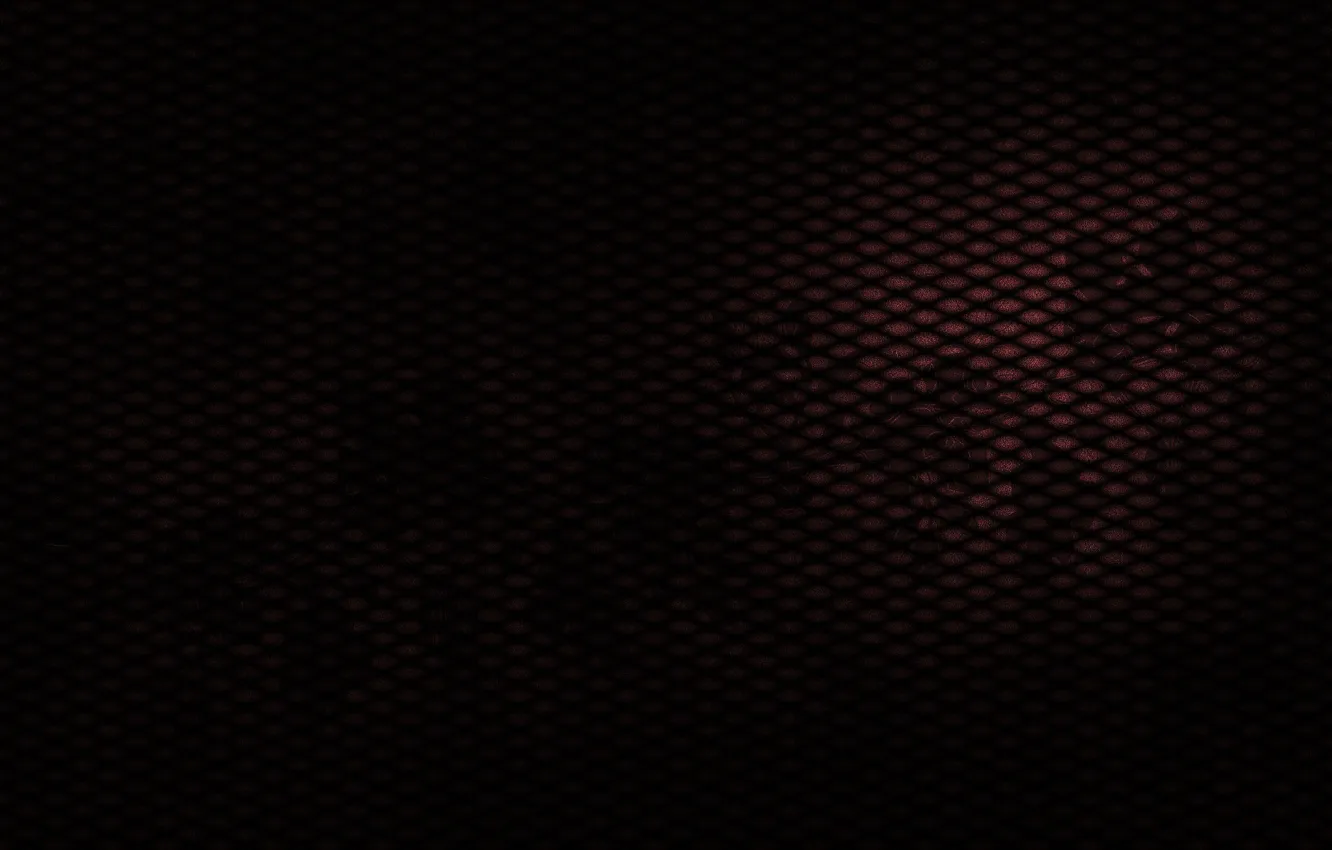 Photo wallpaper mesh, temptation, secrets