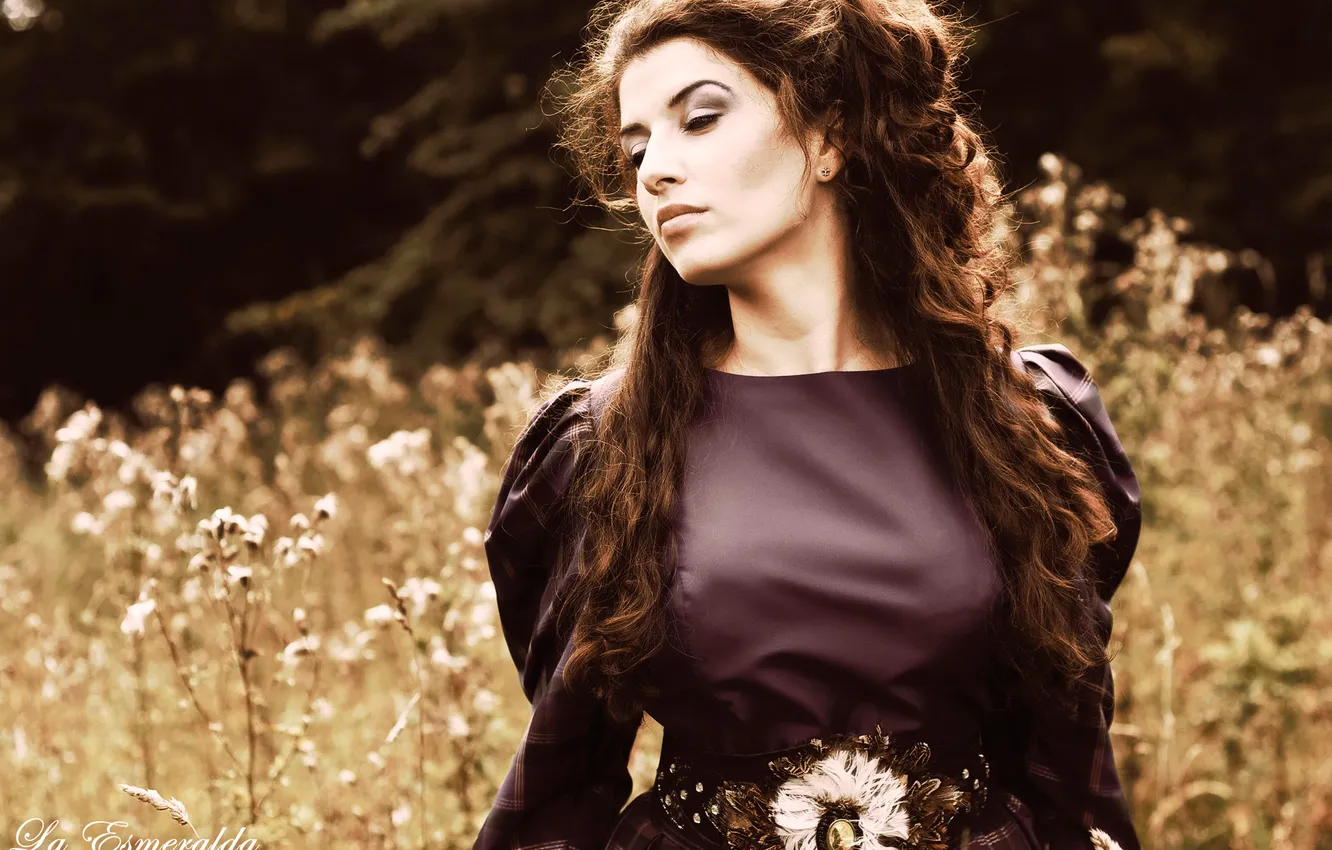 Photo wallpaper flowers, nature, hair, autumnal