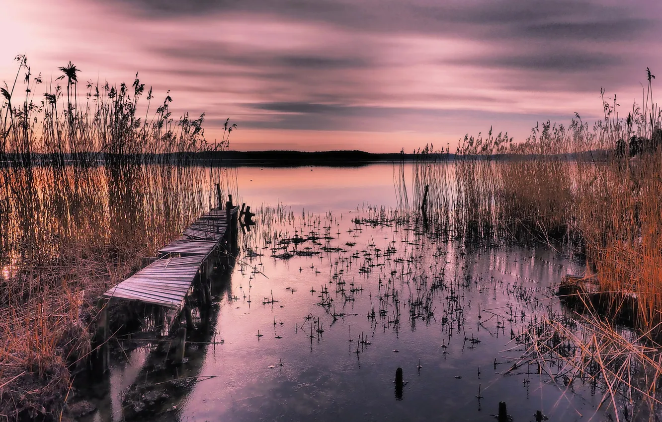 Photo wallpaper the sky, clouds, lake, plant, the evening