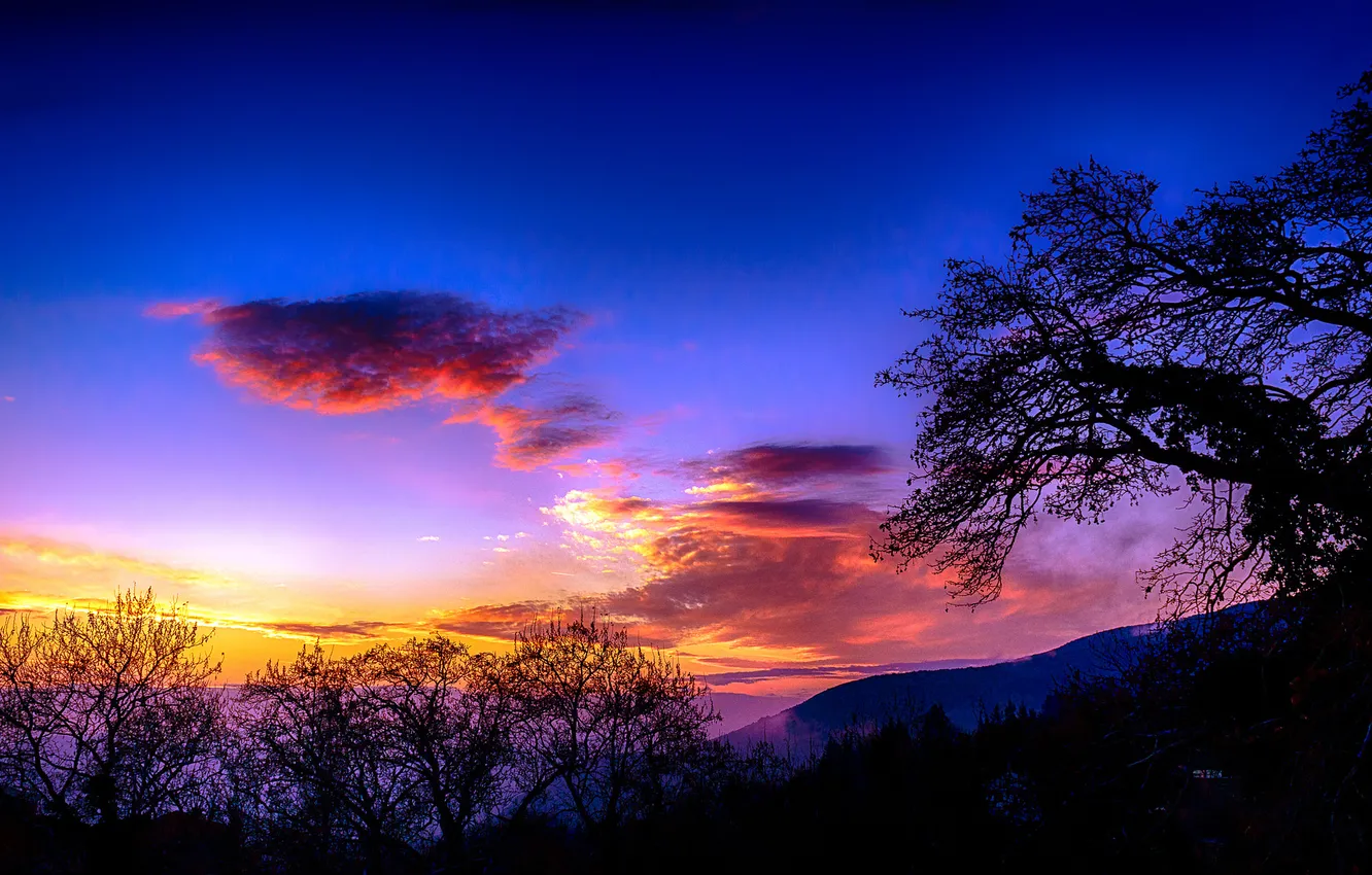Photo wallpaper the sky, clouds, trees, mountains, silhouette, glow