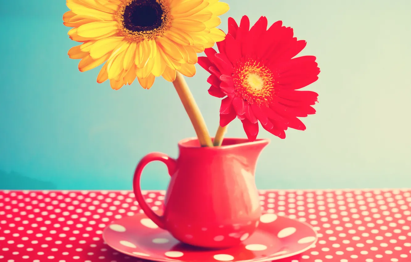 Photo wallpaper flowers, table, mug, gerbera, vintage, vintage, flowers, gerbera