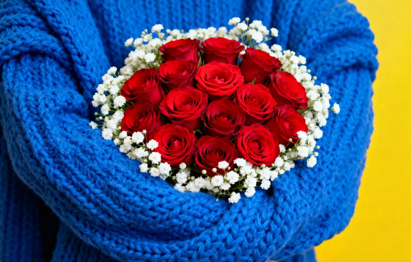 Photo wallpaper roses, bouquet, sweater, red roses