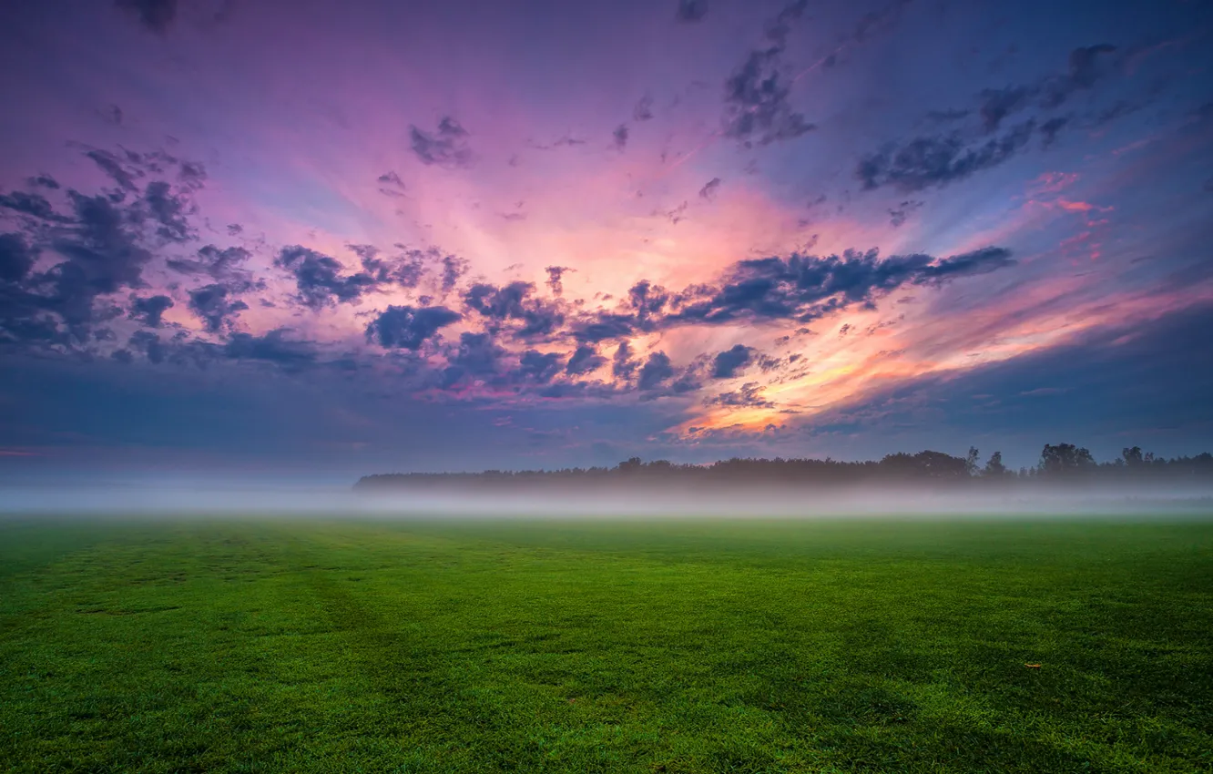 Photo wallpaper field, the sky, grass, clouds, trees, sunset, clouds, fog