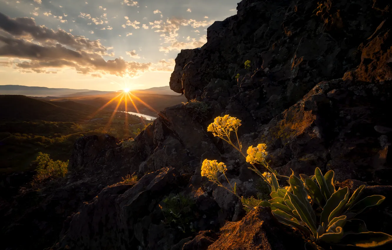 Photo wallpaper flowers, mountains, dawn, the rays of the sun, the beauty of nature, Morávek Martin, Czech …