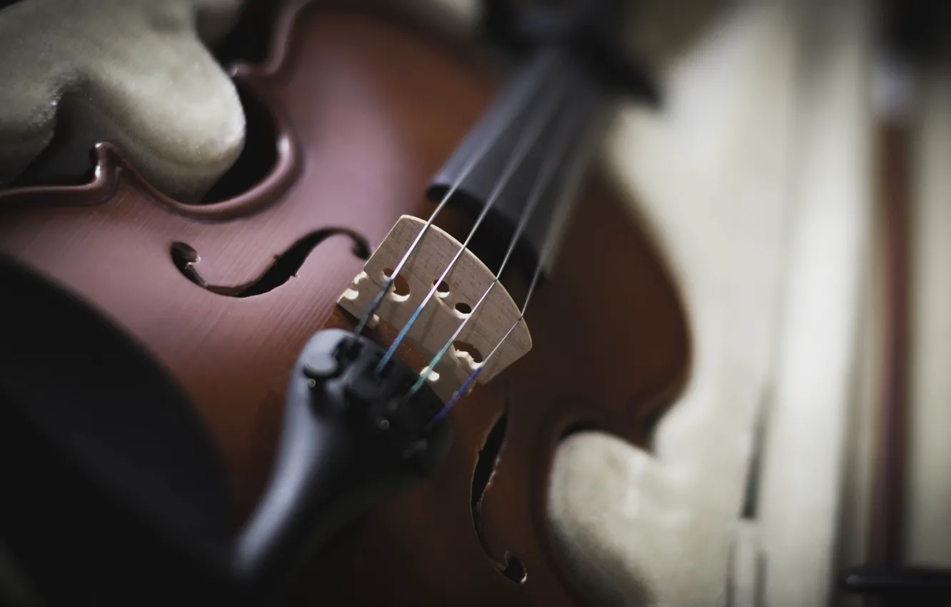 Photo wallpaper violin, strings, tool