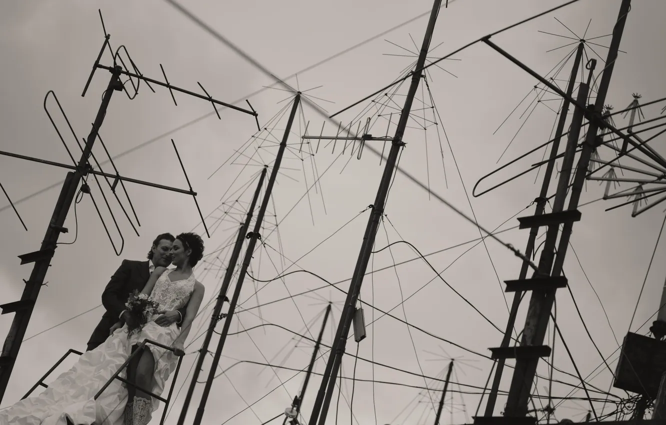 Photo wallpaper roof, Antena, the bride, the groom