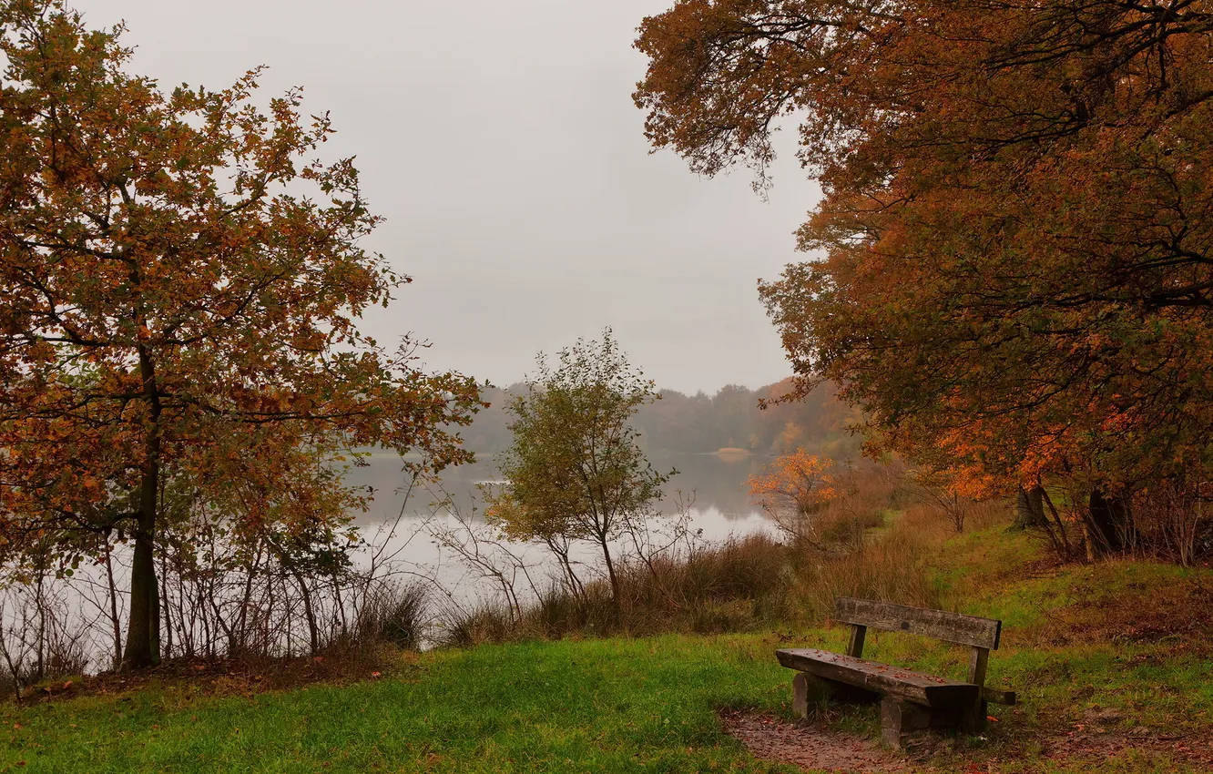 Photo wallpaper autumn, lake, the evening, bench