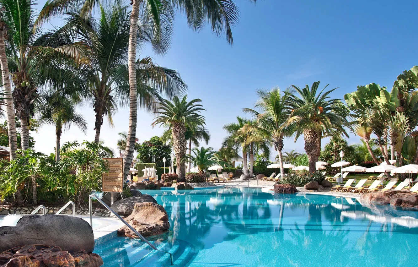 Photo wallpaper palm trees, pool, resort, Palma de Mallorca, Baleares