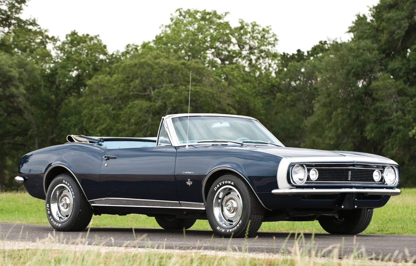 Photo wallpaper road, trees, Chevrolet, Convertible, Camaro, Chevrolet, Camaro, 1967