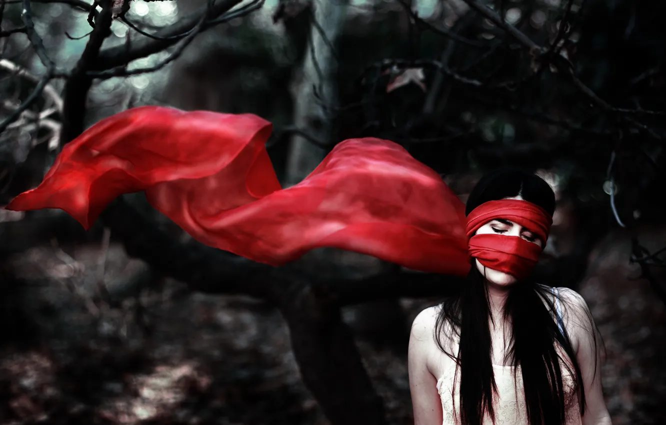 Photo wallpaper forest, girl, trees, red, scarf, headband