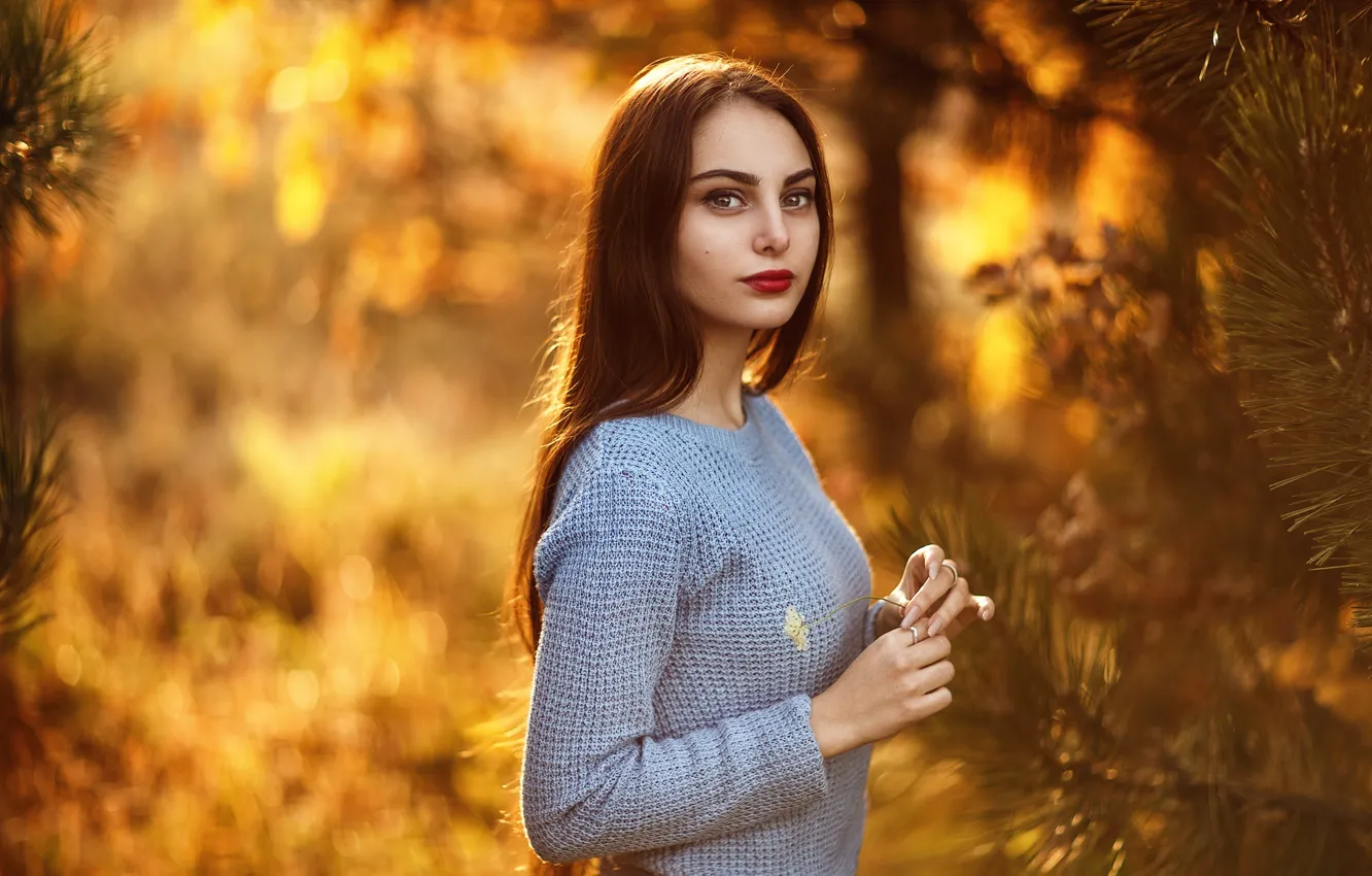 Photo wallpaper autumn, look, the sun, Park, model, portrait, makeup, hairstyle