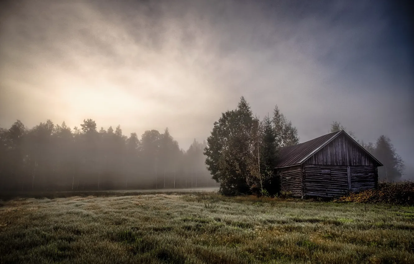 Photo wallpaper field, fog, home