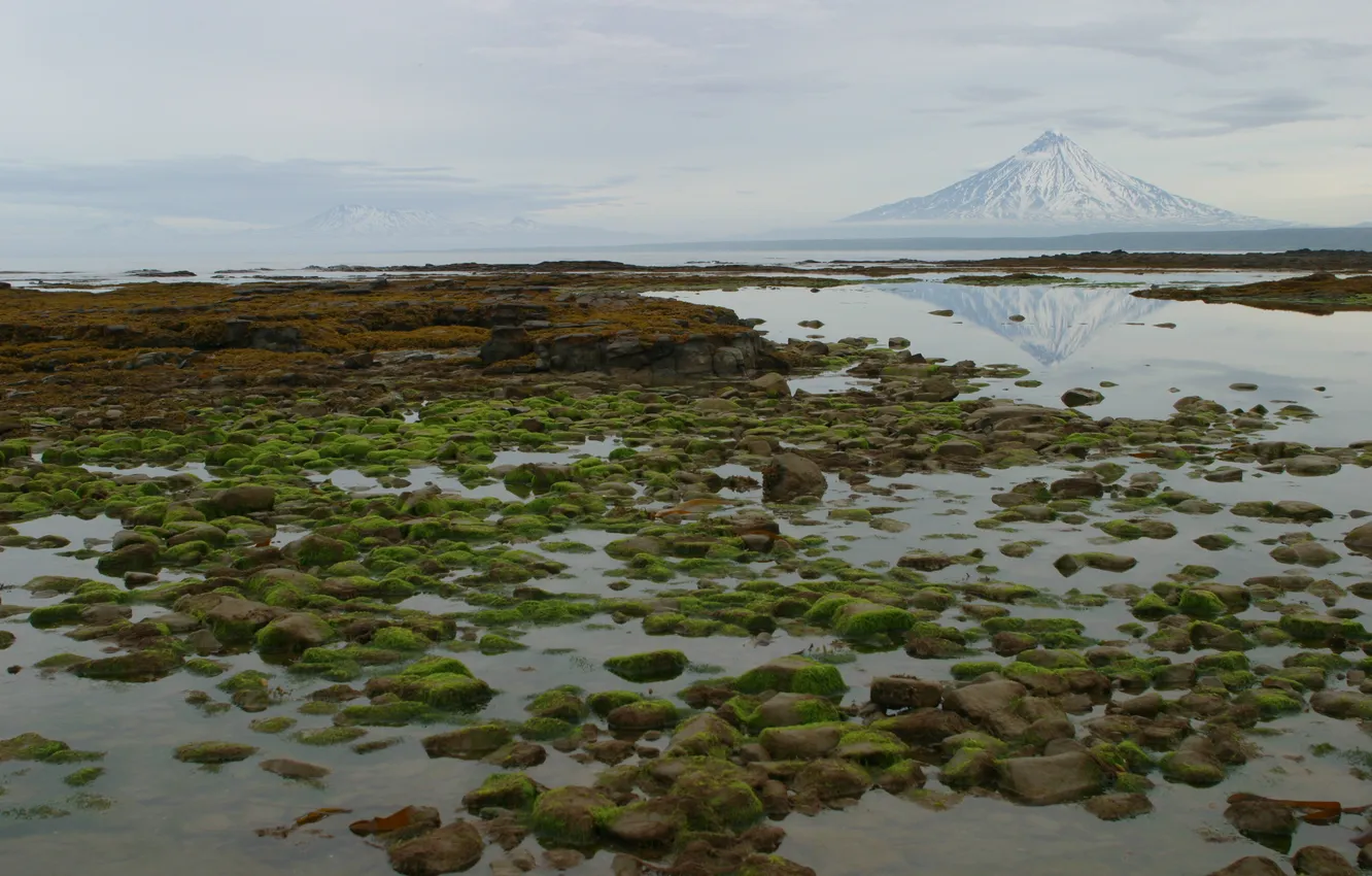 Photo wallpaper sea, the sky, mountains, nature, stones, photo, moss, Kamchatka