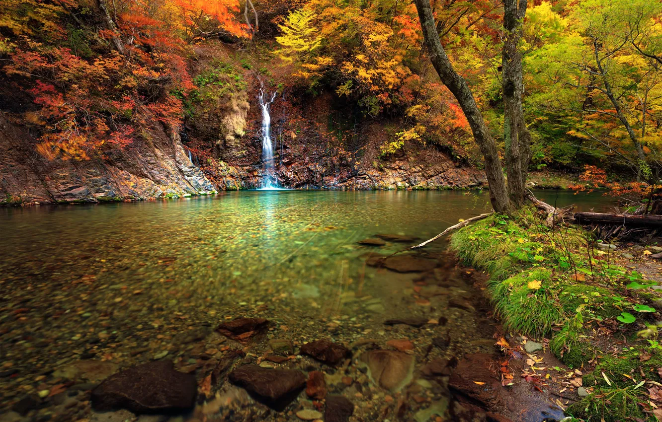 Photo wallpaper autumn, trees, landscape, nature, waterfall, Japan