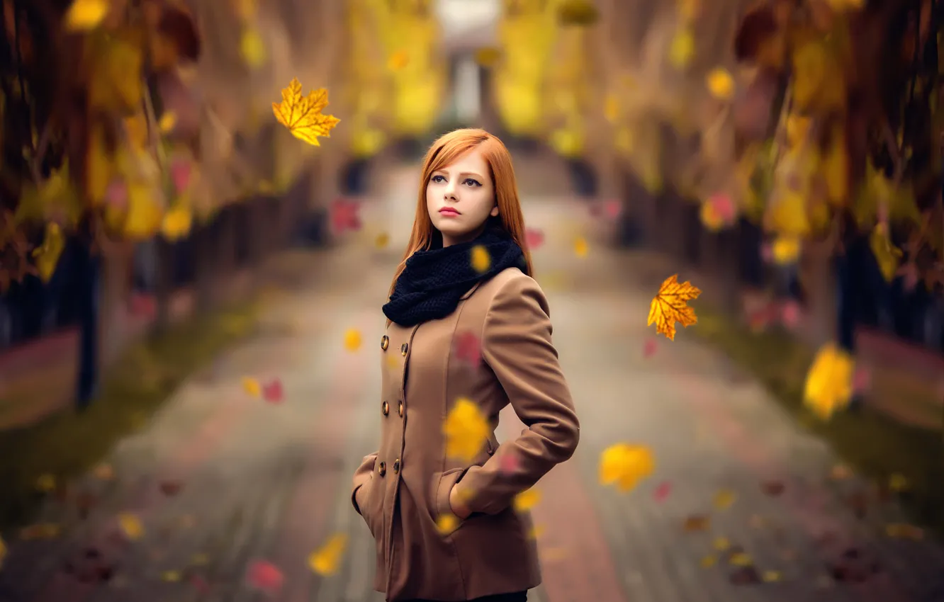 Photo wallpaper autumn, leaves, the beauty, redhead, Melis