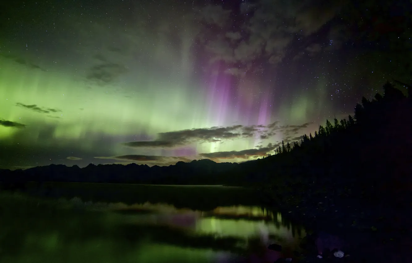 Photo wallpaper stars, night, Northern lights, Norway