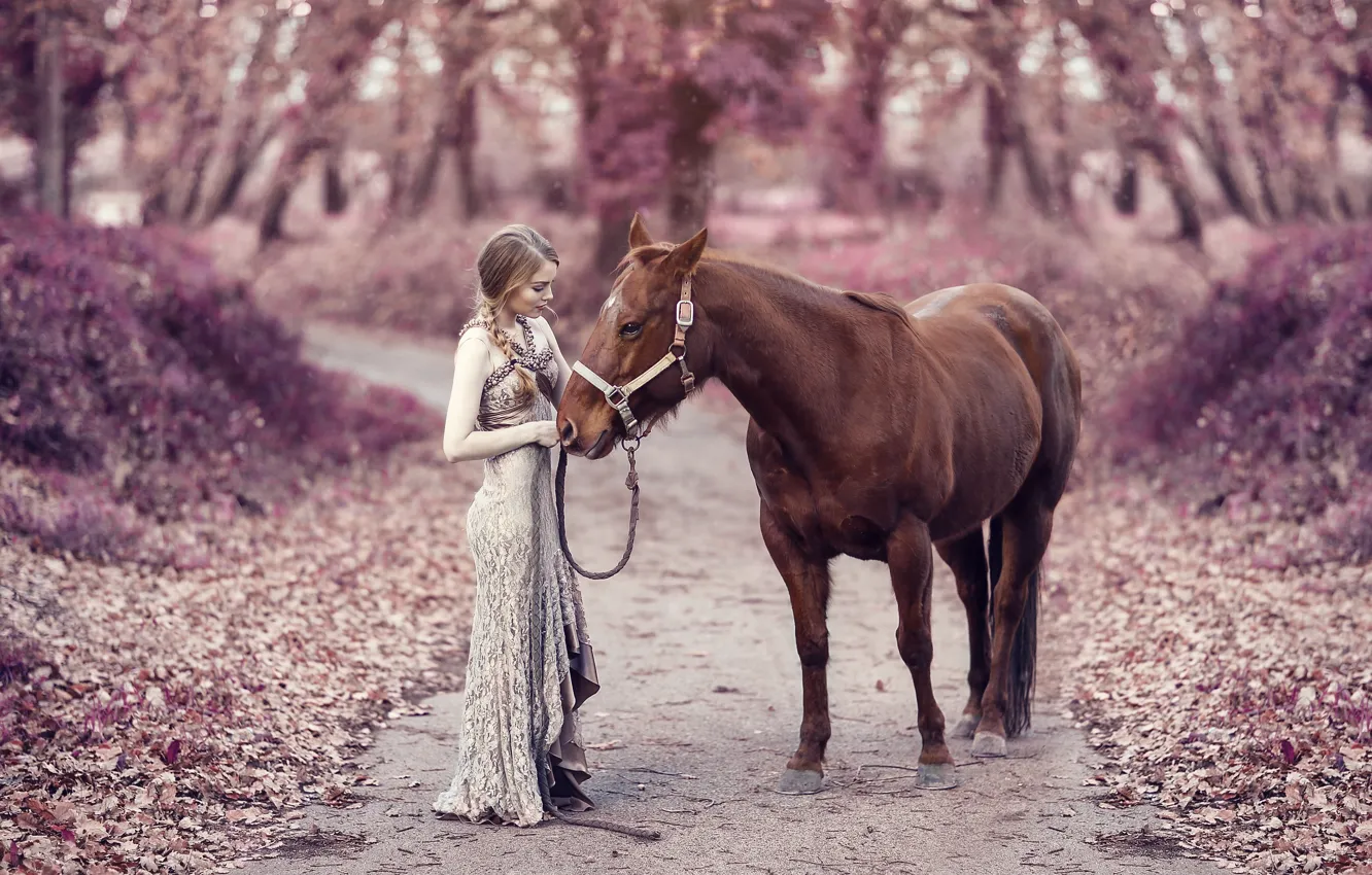 Photo wallpaper road, autumn, girl, mood, horse, horse, dress