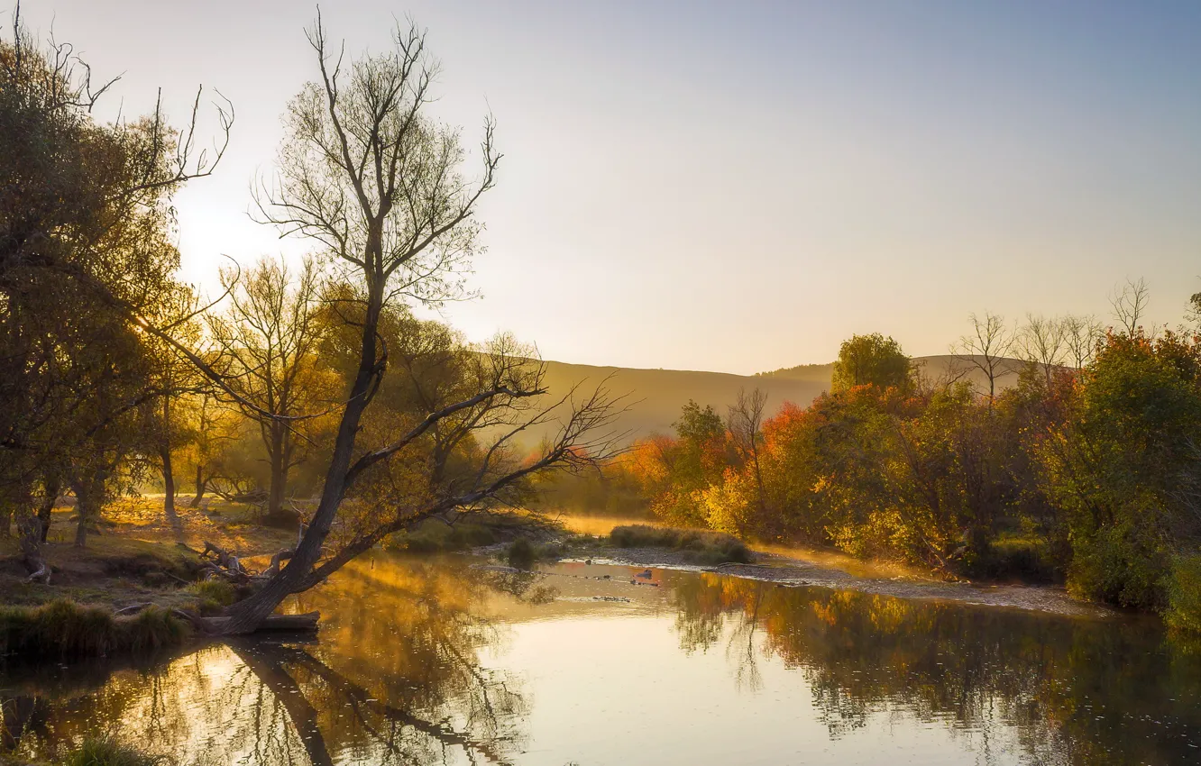 Photo wallpaper autumn, landscape, nature, river