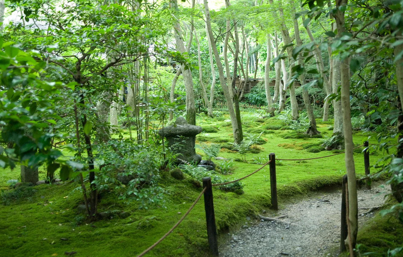 Photo wallpaper summer, trees, Japan, garden, path