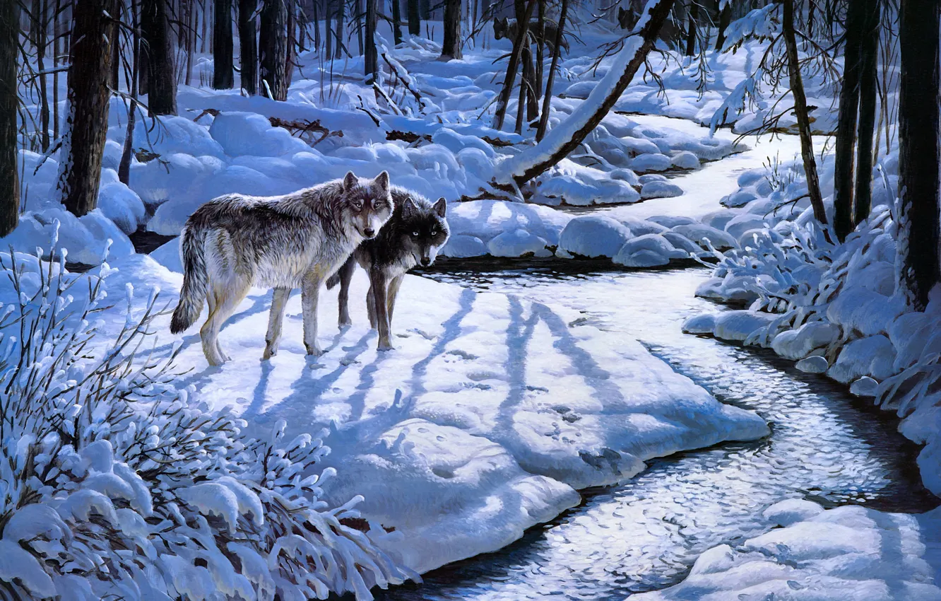 Photo wallpaper winter, frost, forest, look, light, snow, trees, branches