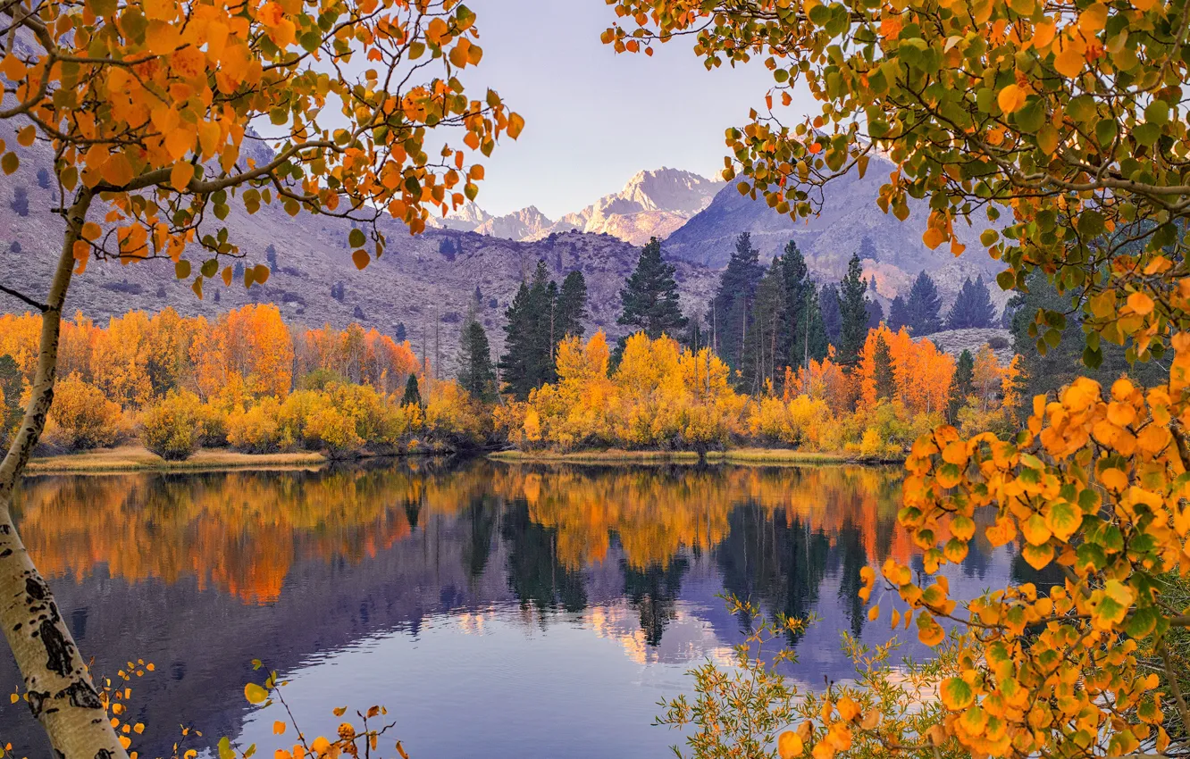 Photo wallpaper autumn, trees, mountains, branches, reflection, river, CA, California