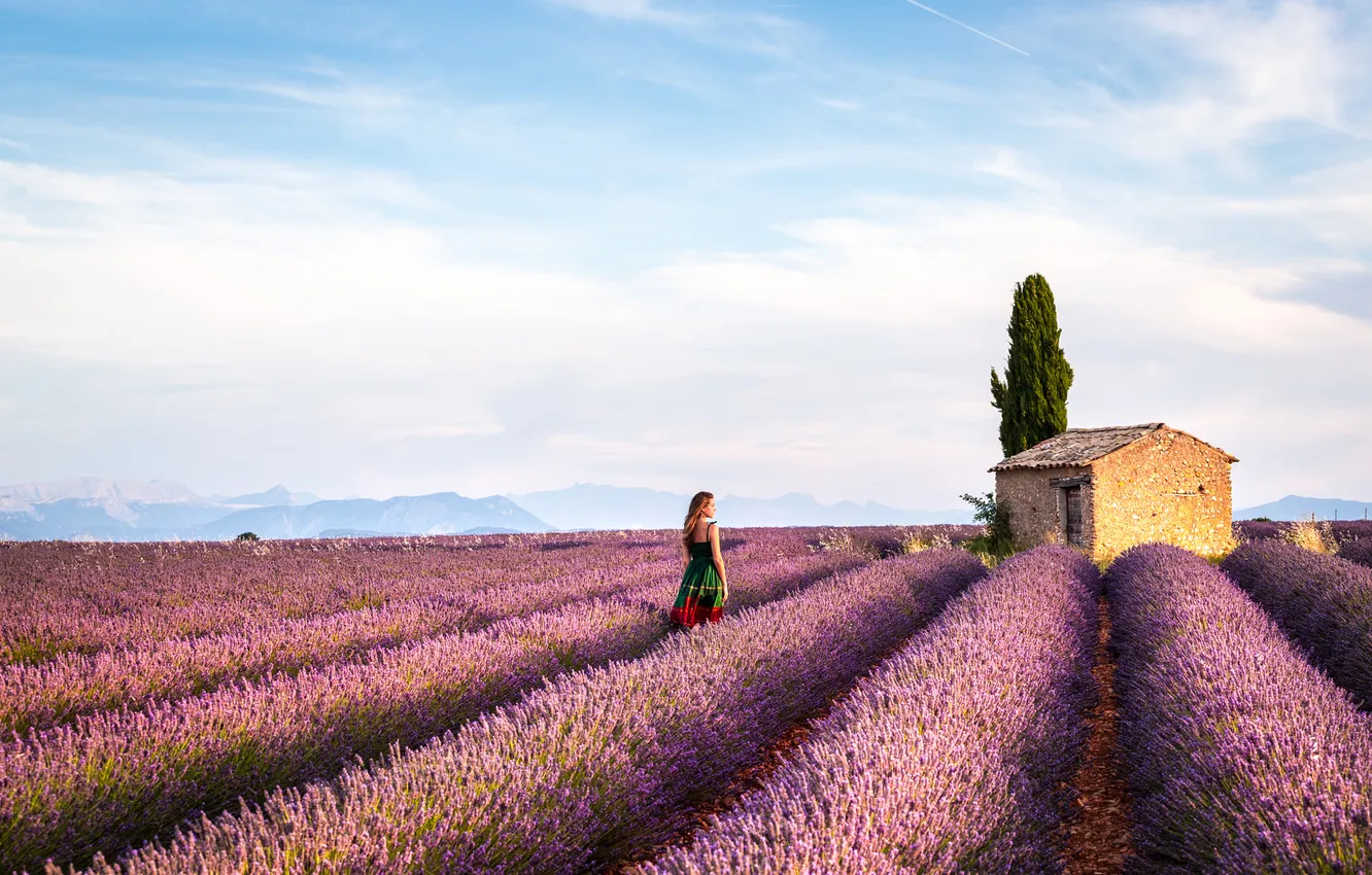 Photo wallpaper girl, clouds, house, a number, walk, lavender, plantation, lavender field