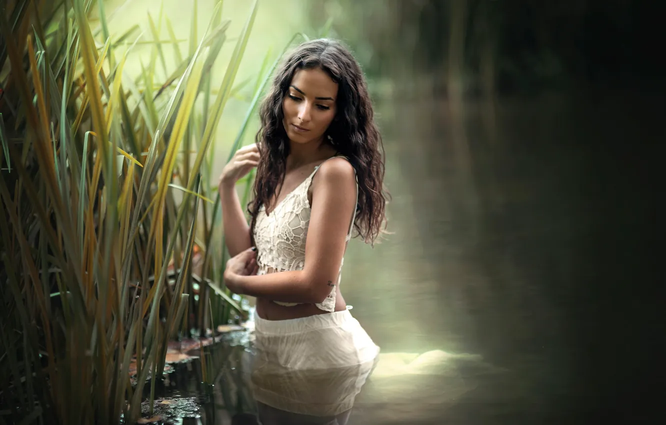Photo wallpaper water, girl, pose, mood, the situation, hands, reed