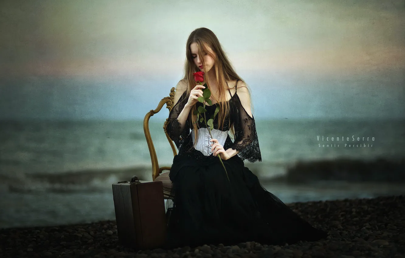 Photo wallpaper girl, roses, suitcase