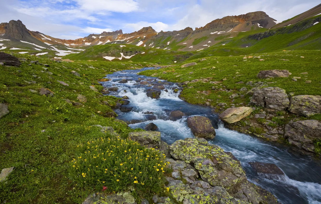 Photo wallpaper greens, grass, clouds, snow, flowers, mountains, stream, stones