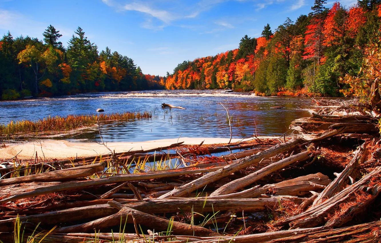 Photo wallpaper autumn, forest, the sky, river