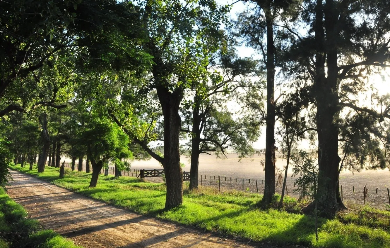 Photo wallpaper road, summer, trees, river, photo, the fence