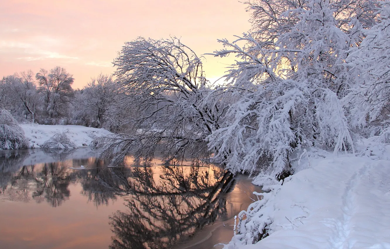 Photo wallpaper winter, snow, trees, river