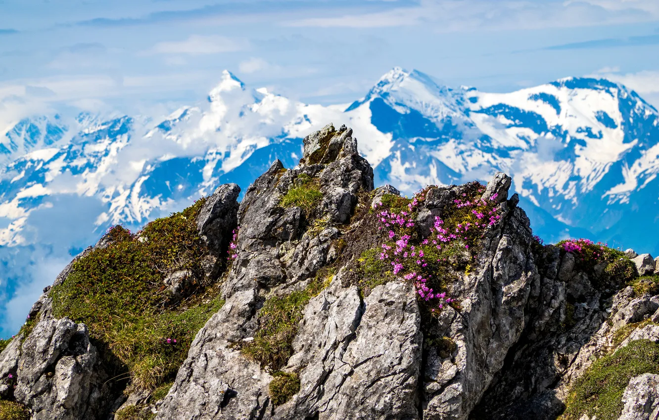 Photo wallpaper the sky, mountains, rocks, Austria, Alps, High king