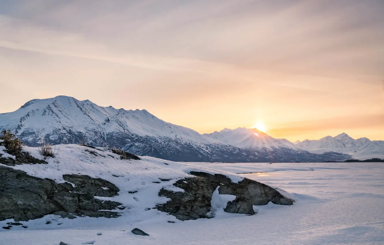 Photo wallpaper cold, winter, field, the sun, clouds, rays, light, snow