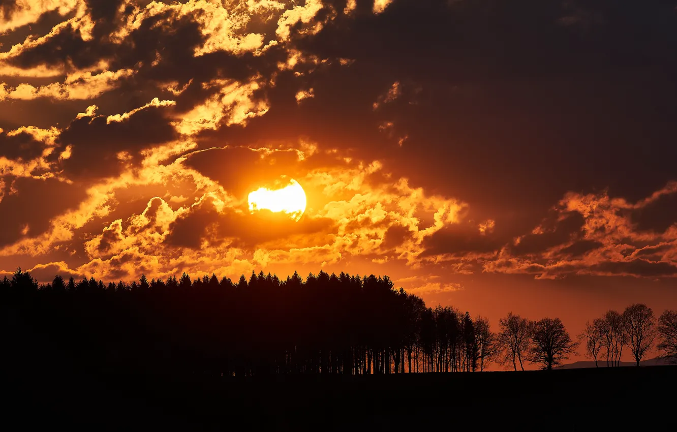 Photo wallpaper the sky, sunset, night