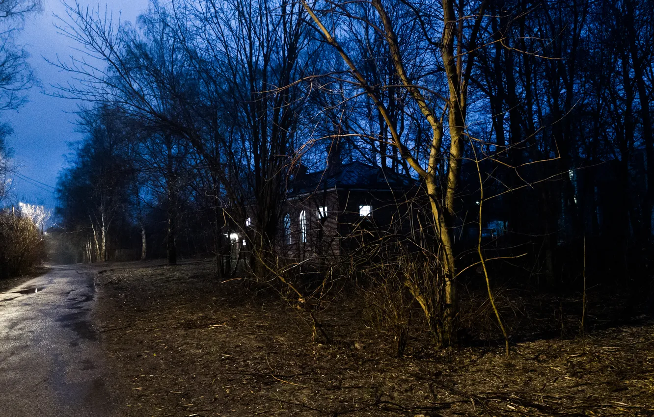 Photo wallpaper forest, trees, night, building, home, spring, the evening, puddle