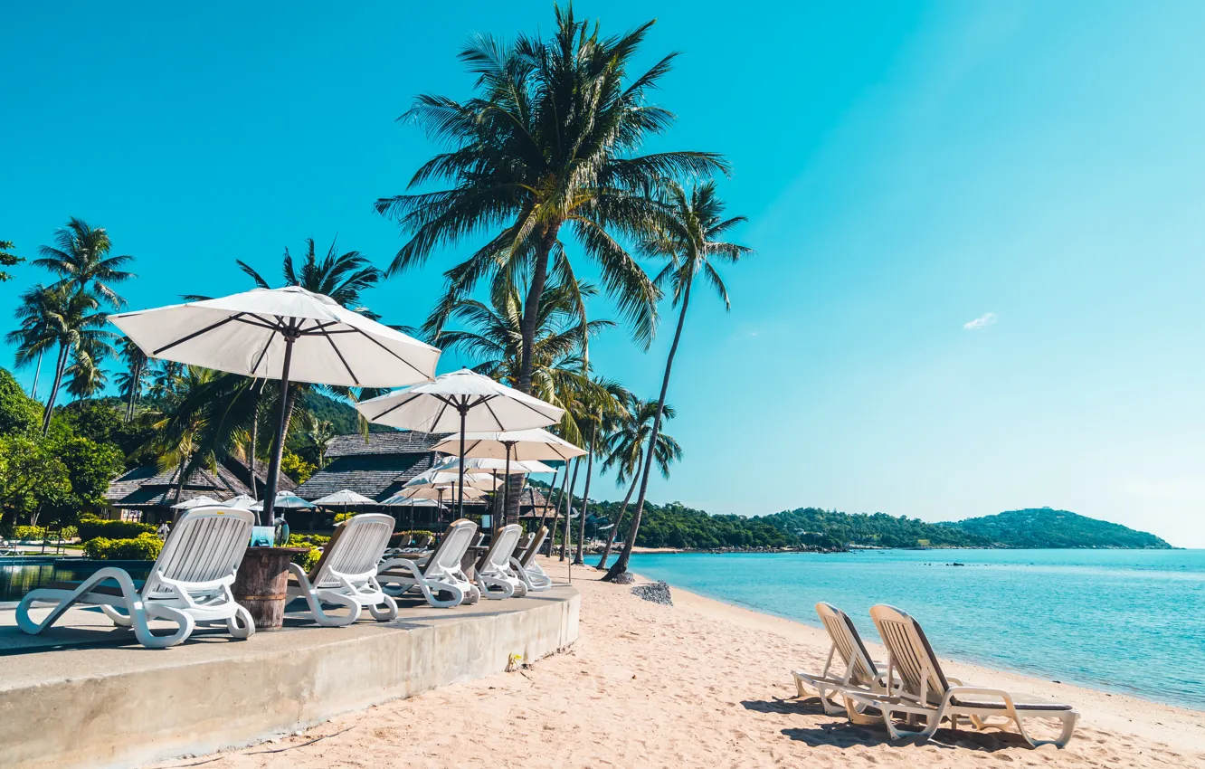 Photo wallpaper sand, sea, beach, summer, the sky, the sun, palm trees, shore