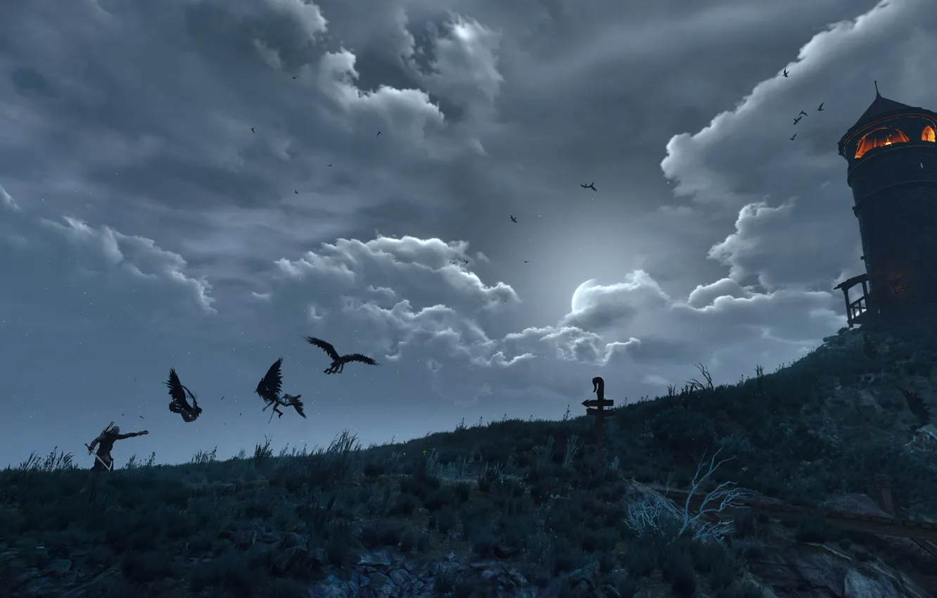 Photo wallpaper The Witcher, The Witcher, The Witcher 3: Wild Hunt, Geralt of Rivia, The Witcher 3: …