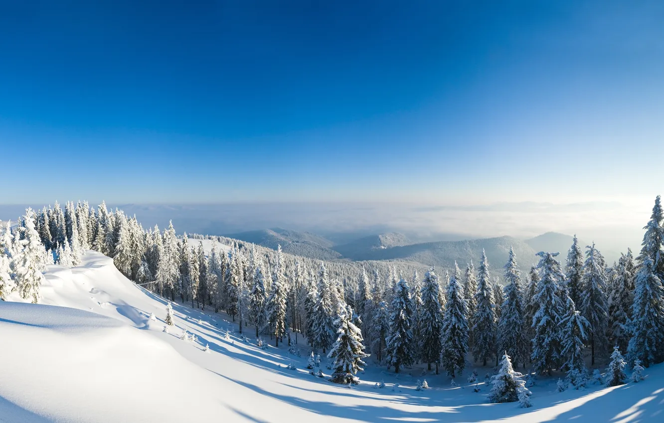Photo wallpaper snow, mountains, slope, tree