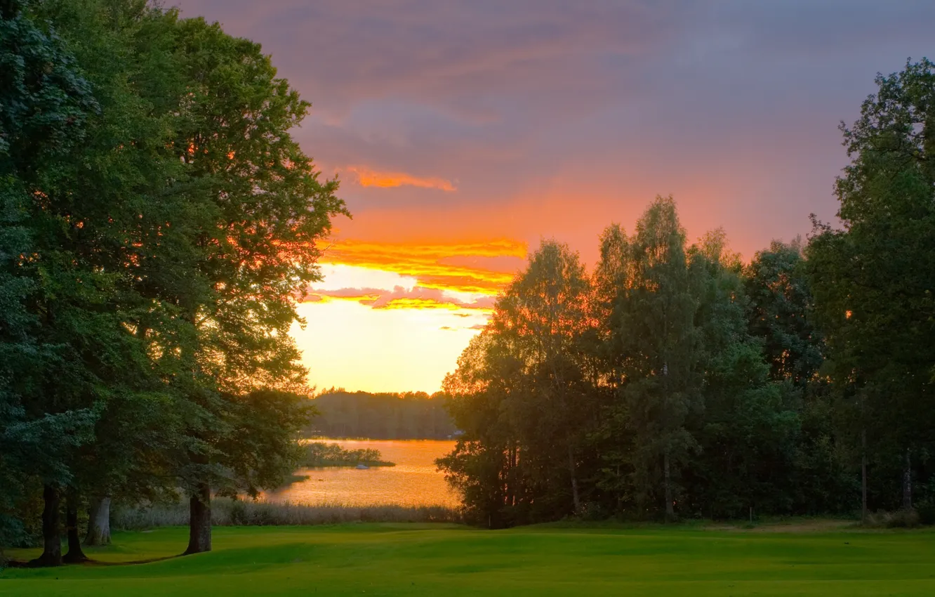 Photo wallpaper forest, the sky, clouds, trees, sunset, lake, glade, pond
