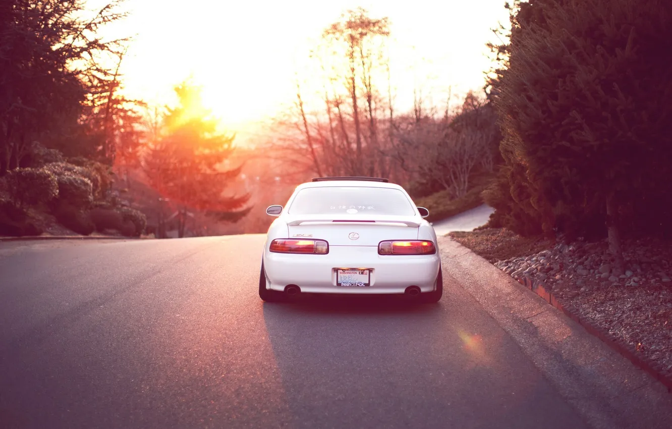 Photo wallpaper road, white, the sun, trees, sunset, Lexus, Lexus, sc 400