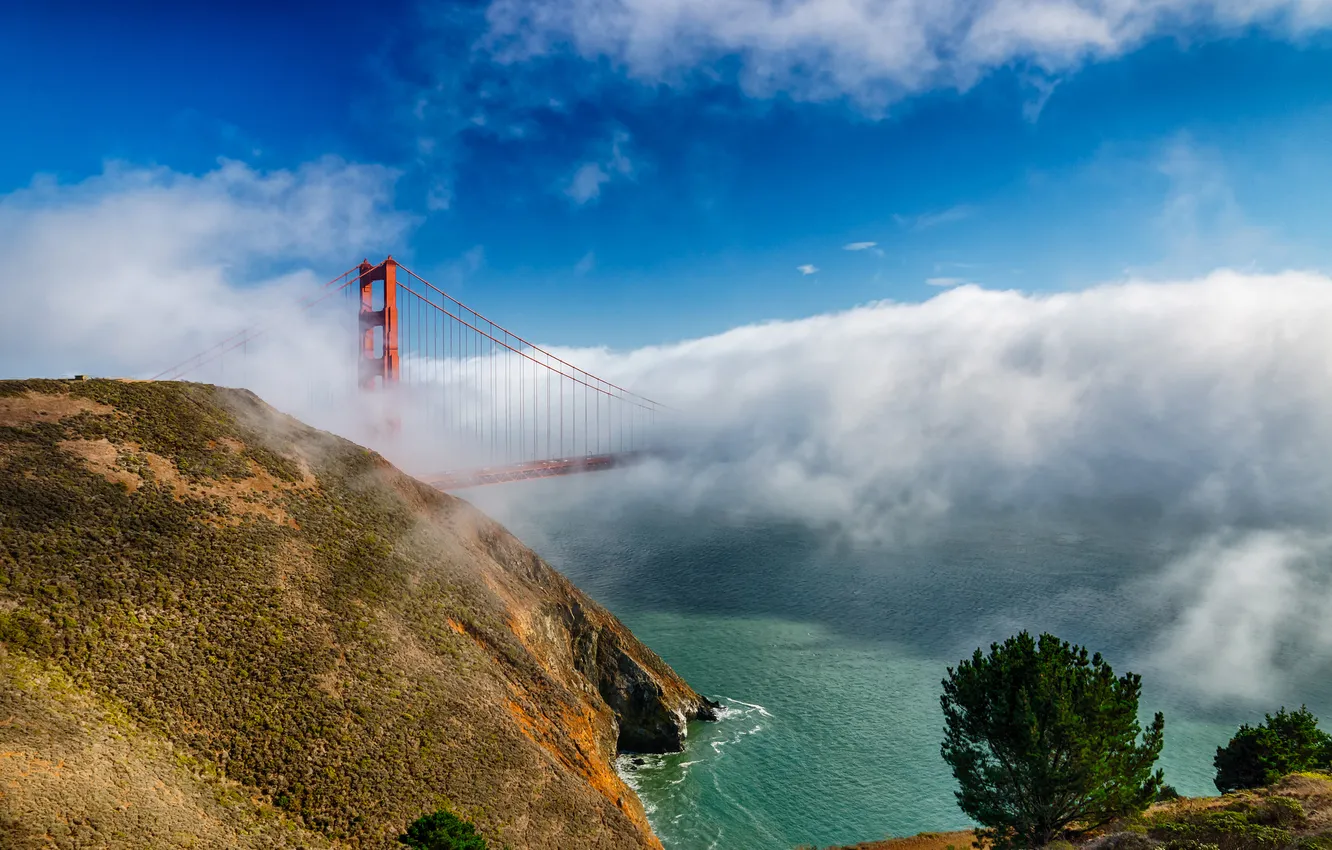 Photo wallpaper the sky, clouds, trees, bridge, fog, Bay, San Francisco, Golden Gate