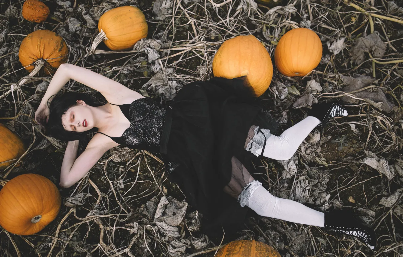 Photo wallpaper field, girl, pose, the situation, stockings, dress, pumpkin
