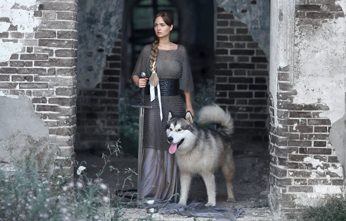 Photo wallpaper look, girl, dog, sword, braid, mail