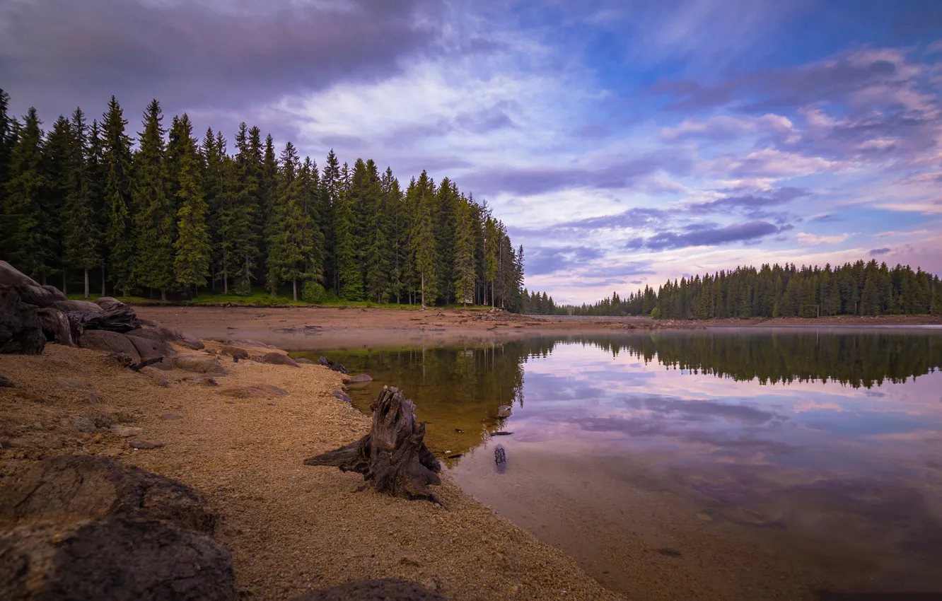 Photo wallpaper forest, clouds, lake